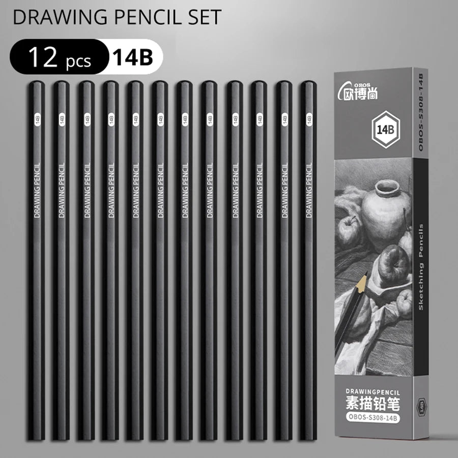 Professional Graphite and Charcoal Pencil Set – 2H to 14B for Drawing and Sketching