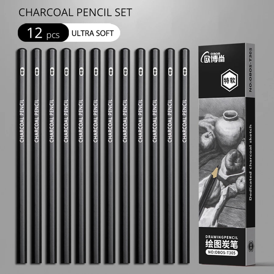 Professional Graphite and Charcoal Pencil Set – 2H to 14B for Drawing and Sketching