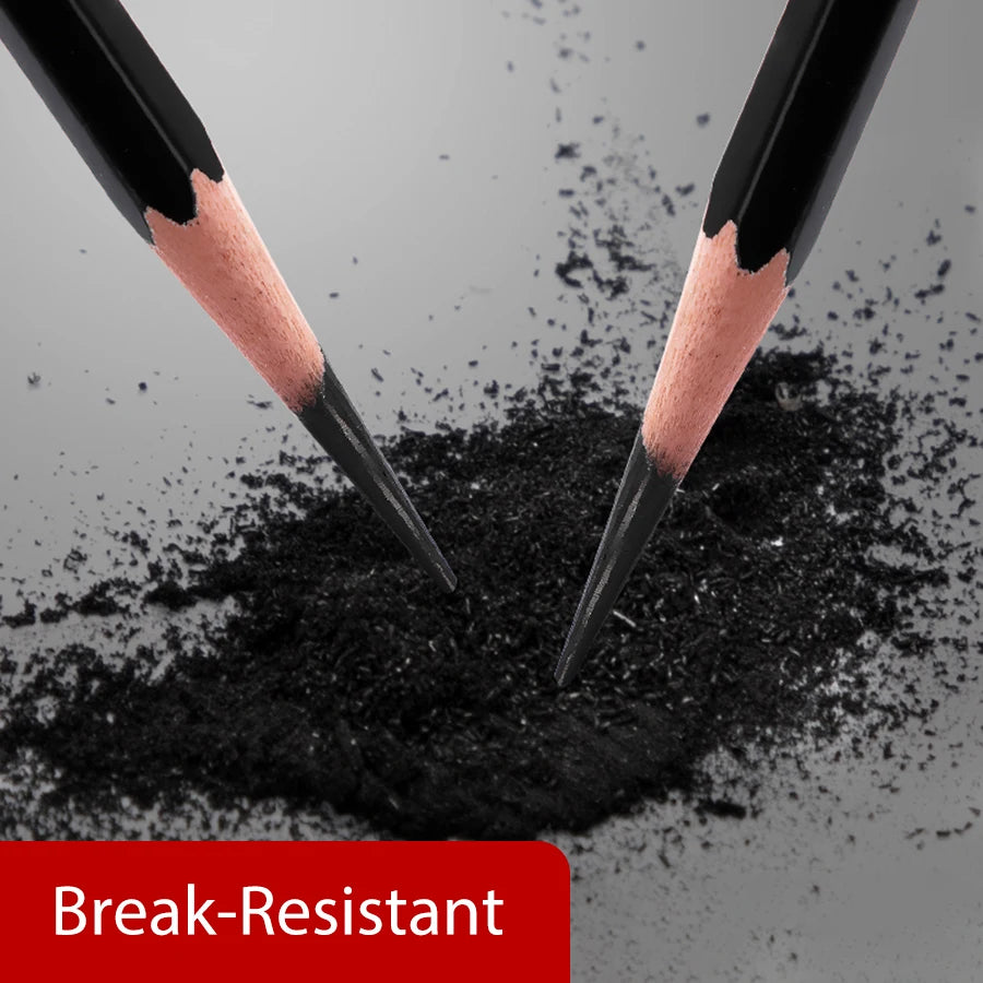 Professional Graphite and Charcoal Pencil Set – 2H to 14B for Drawing and Sketching