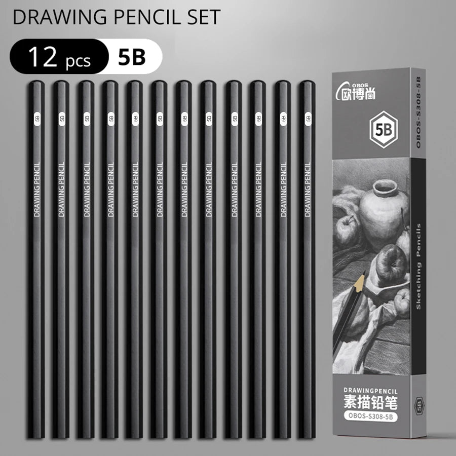 Professional Graphite and Charcoal Pencil Set – 2H to 14B for Drawing and Sketching