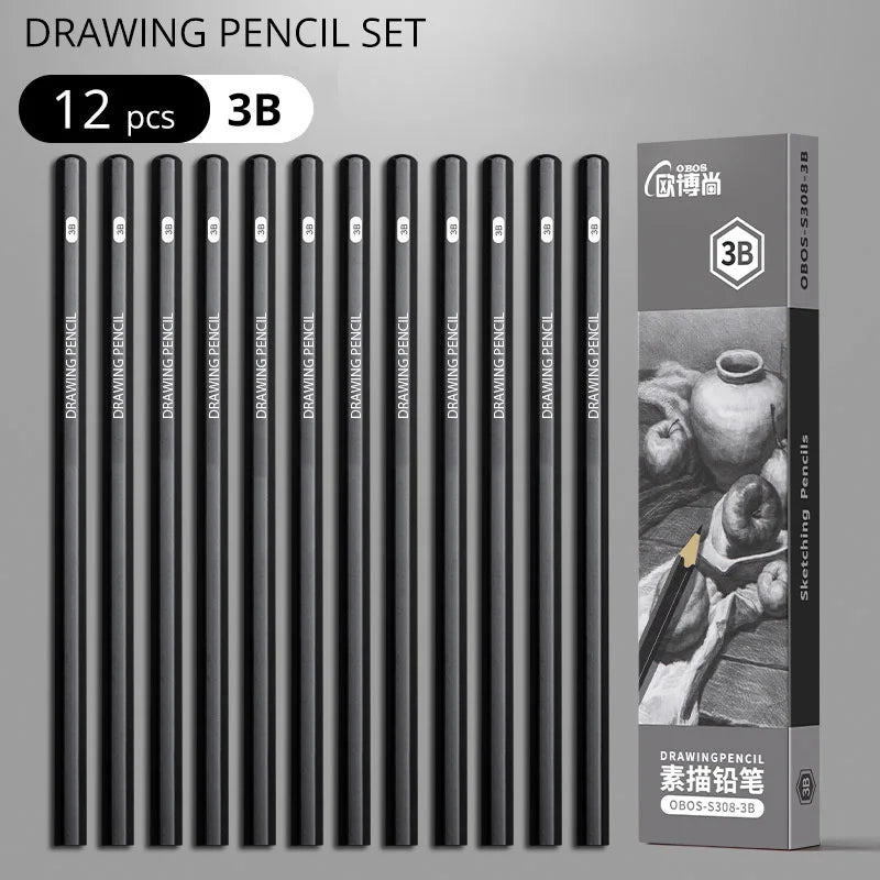 Professional Graphite and Charcoal Pencil Set – 2H to 14B for Drawing and Sketching