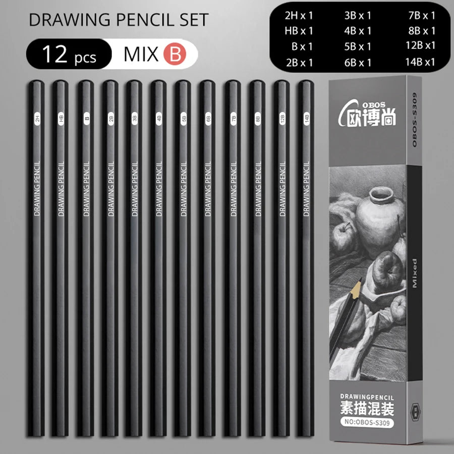 Professional Graphite and Charcoal Pencil Set – 2H to 14B for Drawing and Sketching