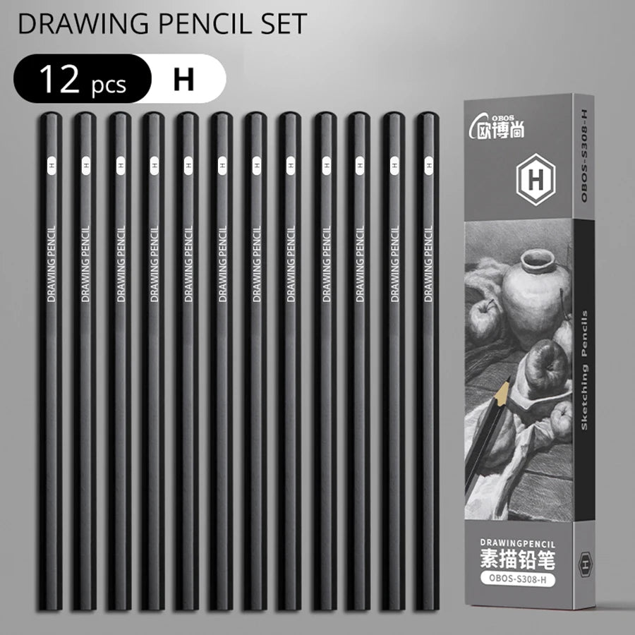 Professional Graphite and Charcoal Pencil Set – 2H to 14B for Drawing and Sketching