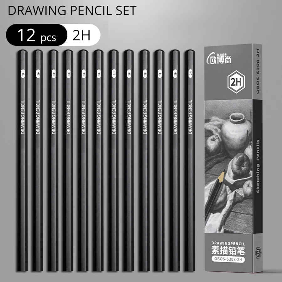 Professional Graphite and Charcoal Pencil Set – 2H to 14B for Drawing and Sketching