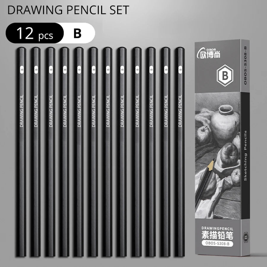 Professional Graphite and Charcoal Pencil Set – 2H to 14B for Drawing and Sketching