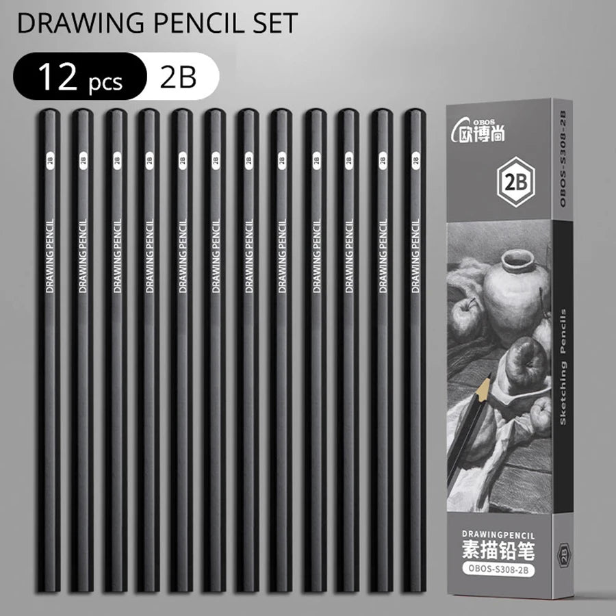 Professional Graphite and Charcoal Pencil Set – 2H to 14B for Drawing and Sketching