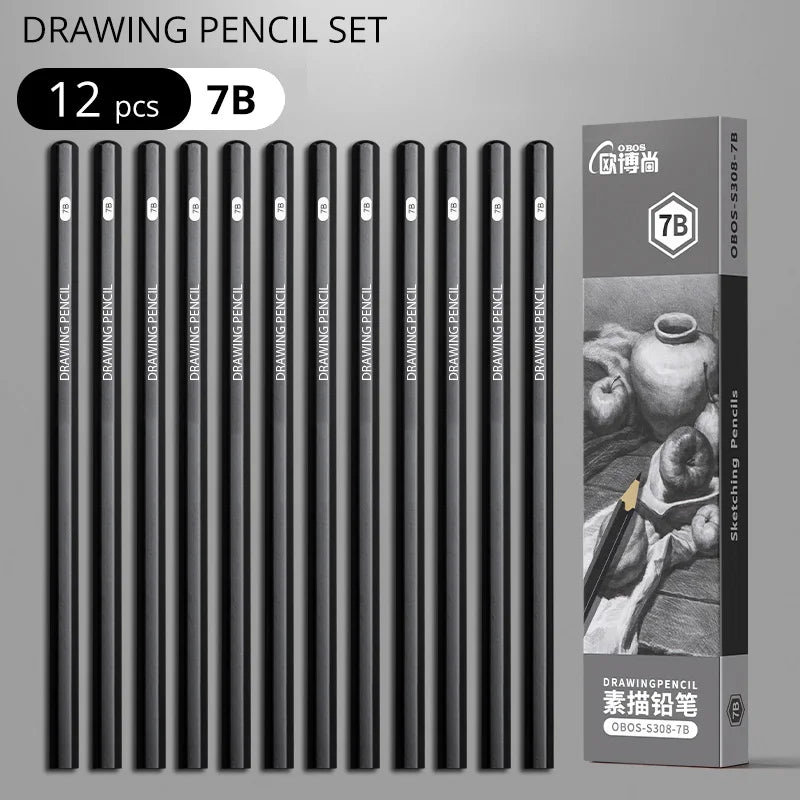 Professional Graphite and Charcoal Pencil Set – 2H to 14B for Drawing and Sketching