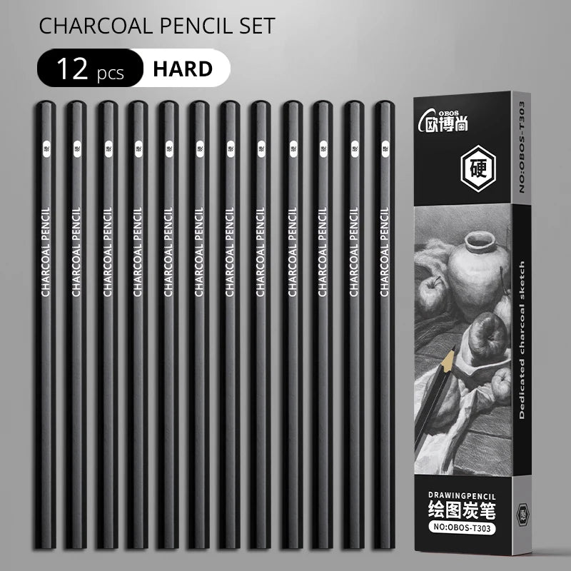 Professional Graphite and Charcoal Pencil Set – 2H to 14B for Drawing and Sketching