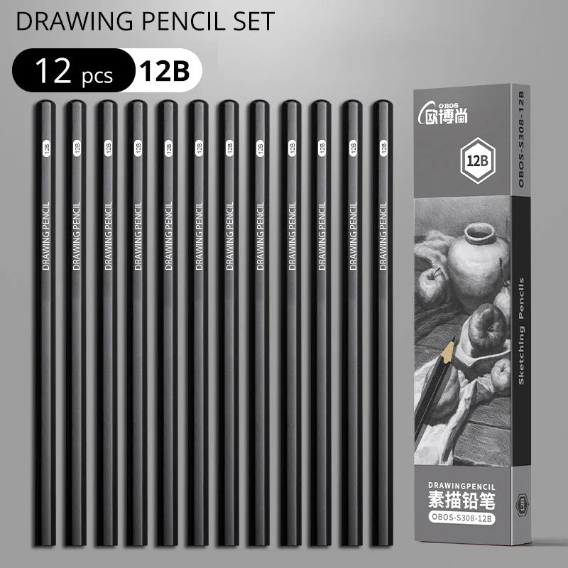 Professional Graphite and Charcoal Pencil Set – 2H to 14B for Drawing and Sketching