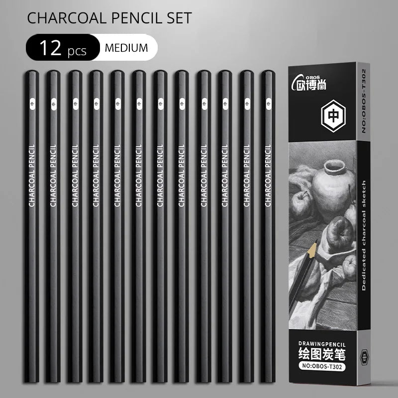 Professional Graphite and Charcoal Pencil Set – 2H to 14B for Drawing and Sketching