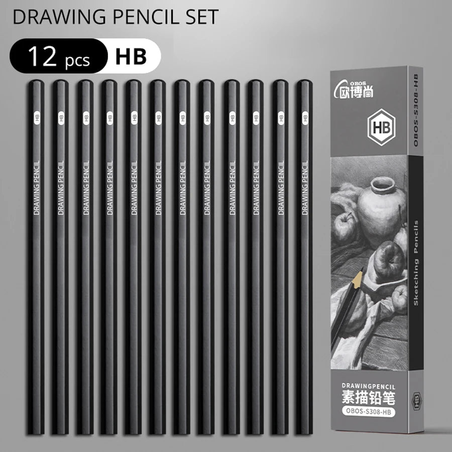 Professional Graphite and Charcoal Pencil Set – 2H to 14B for Drawing and Sketching