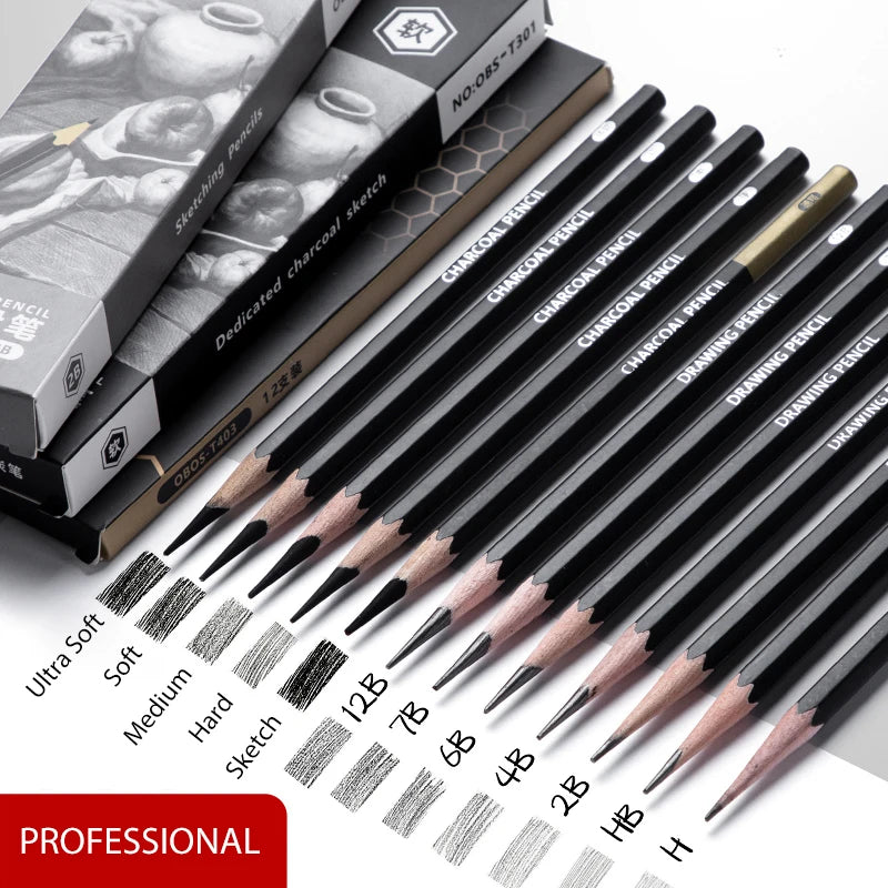 Professional Graphite and Charcoal Pencil Set – 2H to 14B for Drawing and Sketching